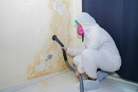 Best Commercial Mold Inspection in USA